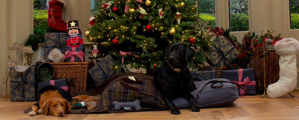 The Lords & Labradors Ultimate Pet Christmas Gift Guide