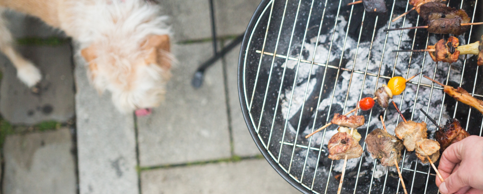 How To Keep Your Dog Safe At A BBQ