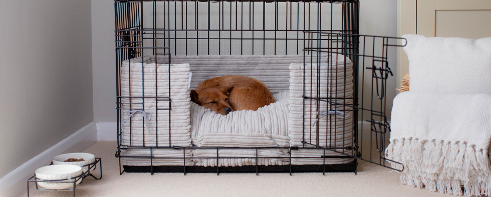 How To Crate Train Your New Puppy