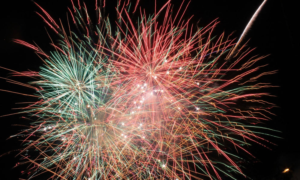 How to Calm a Dog During Fireworks