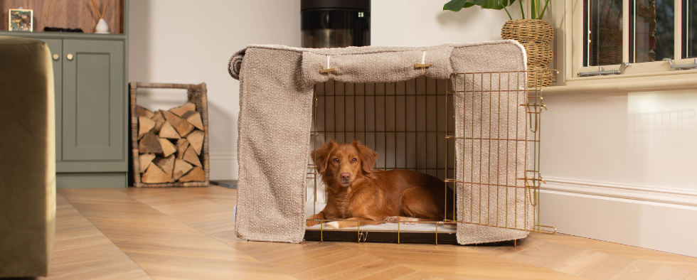 Custom Lords & Labradors Crate Bedding Guide