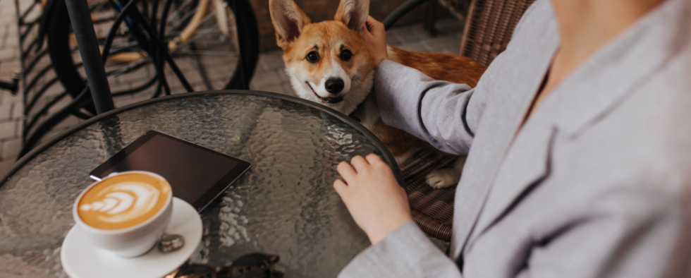 Our Favourite Dog Accessories For A Café Date In Town