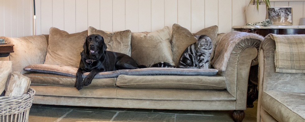 How To Measure For Your Lords & Labradors Sofa Topper