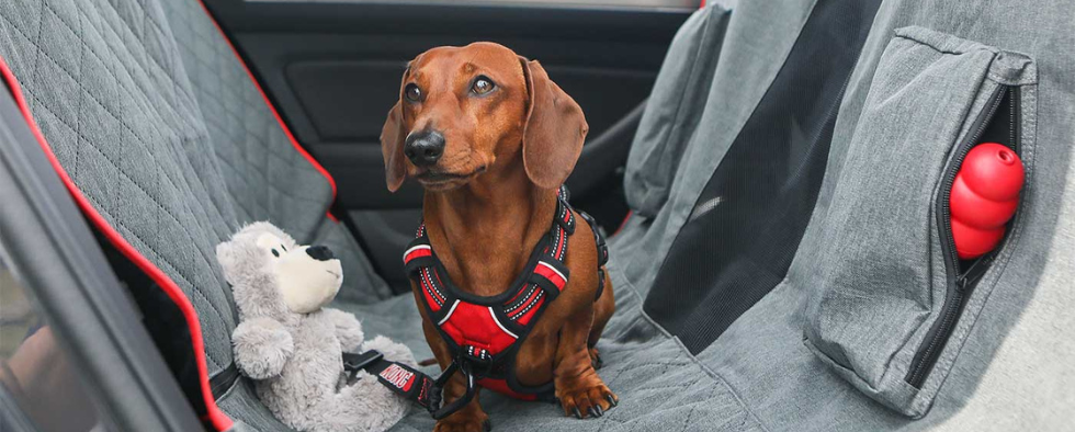 Top 3 Car Seat Covers For Travelling With Your Dog