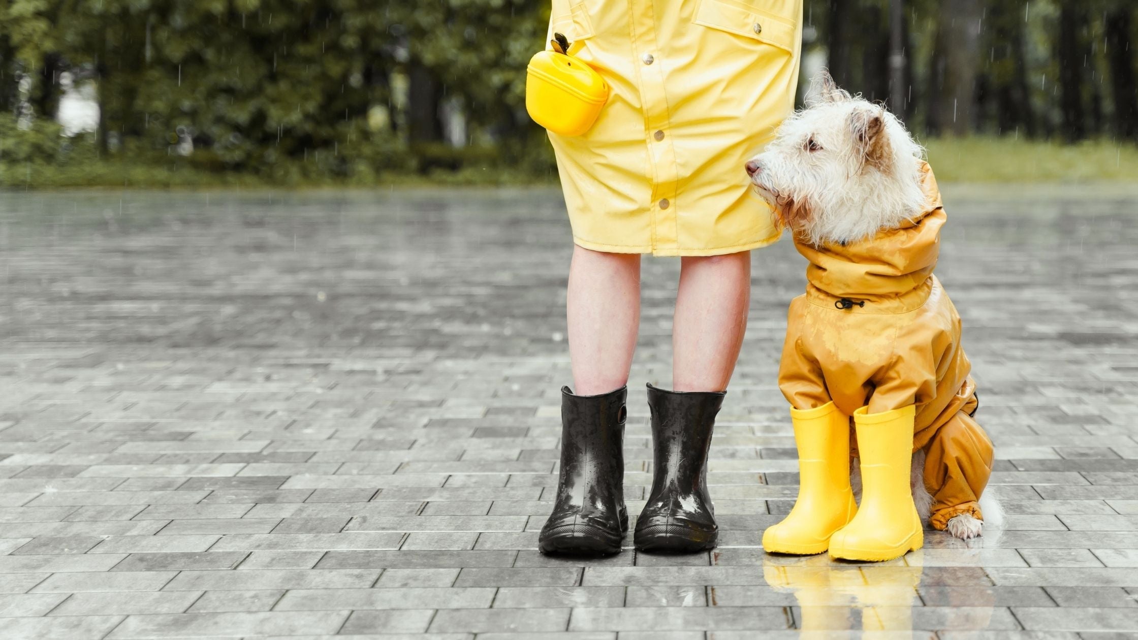 Waterproof dog coat