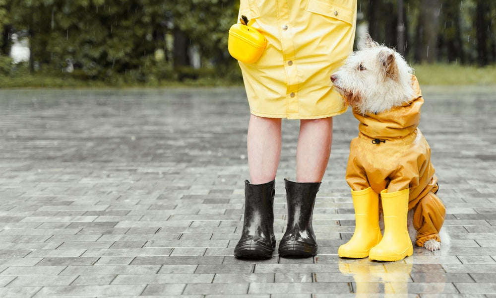 Fleece vs Waterproof Dog Coats: Which Do You Need And When?