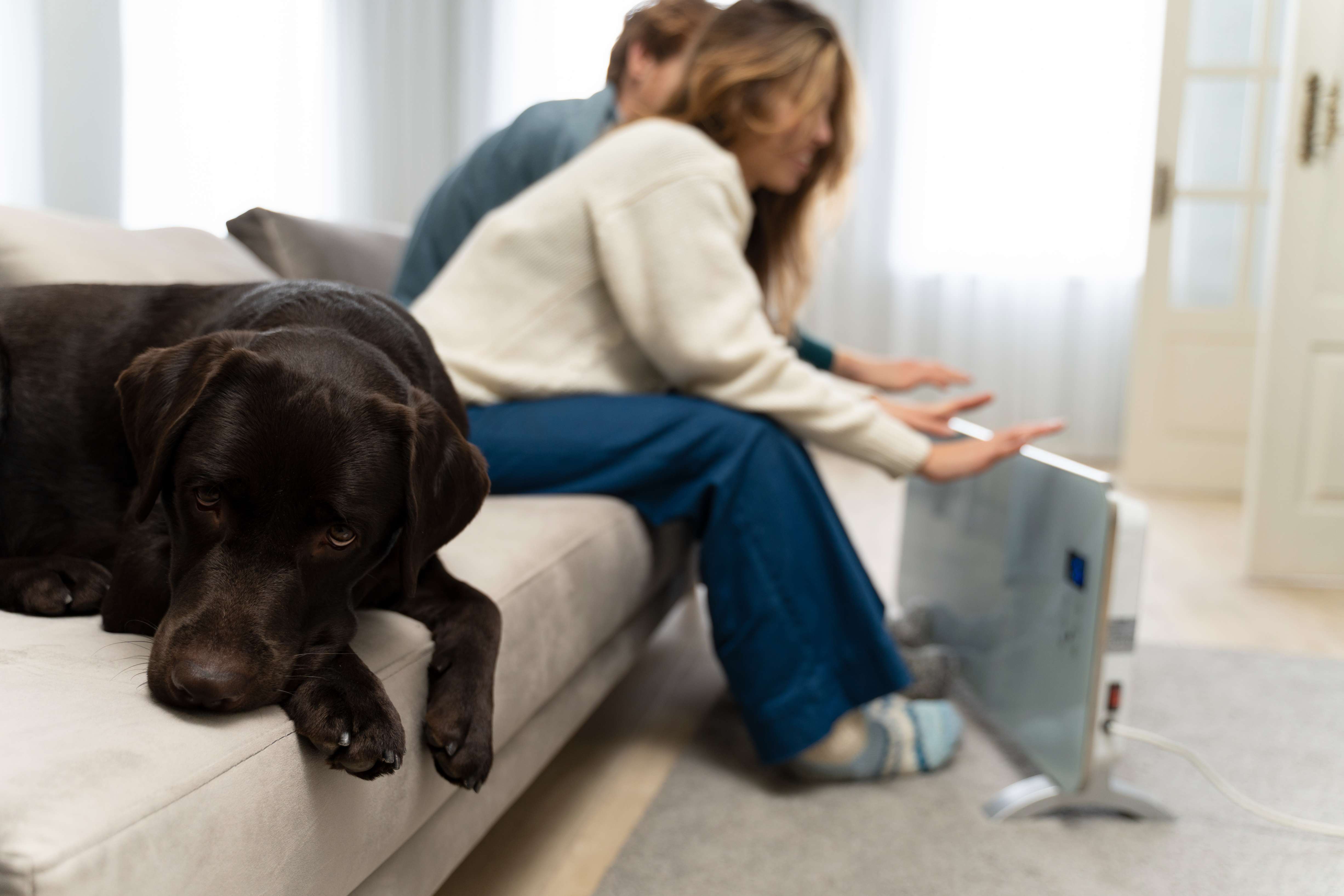 How do I know if my dog is cold inside the house