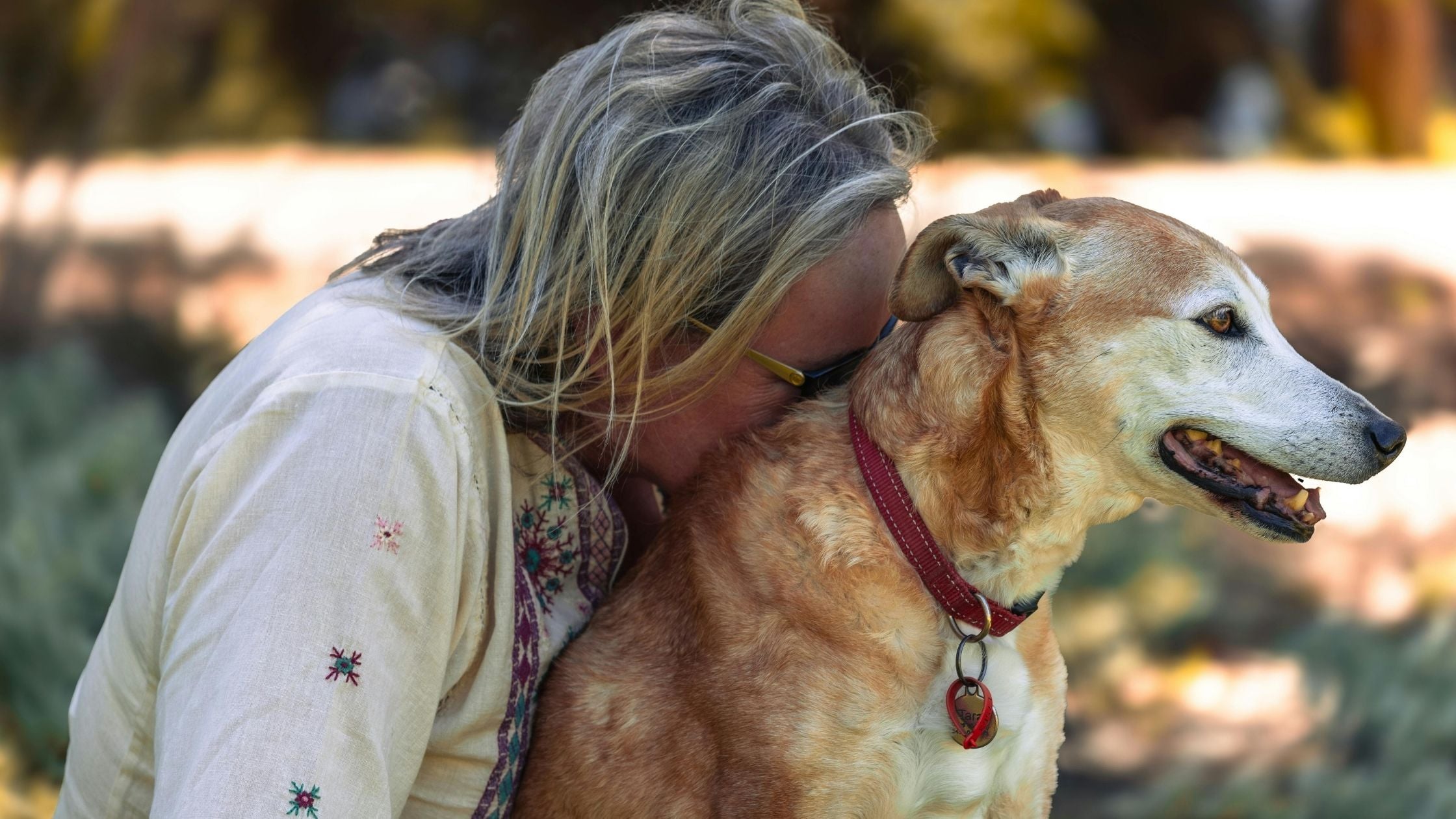 Owner and the dog