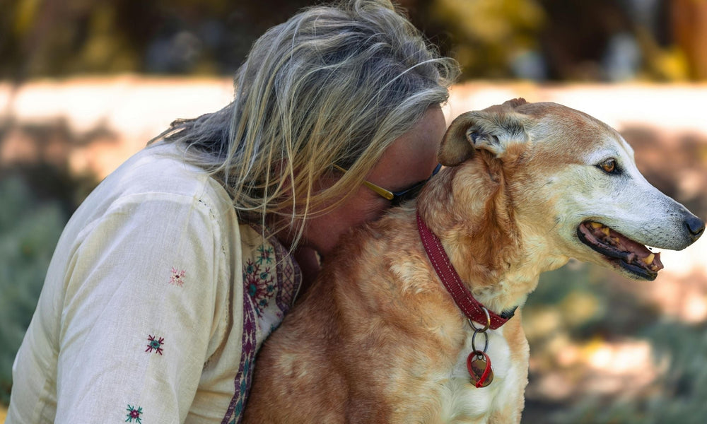 Can dog and cat fleas live on humans? What owners need to know