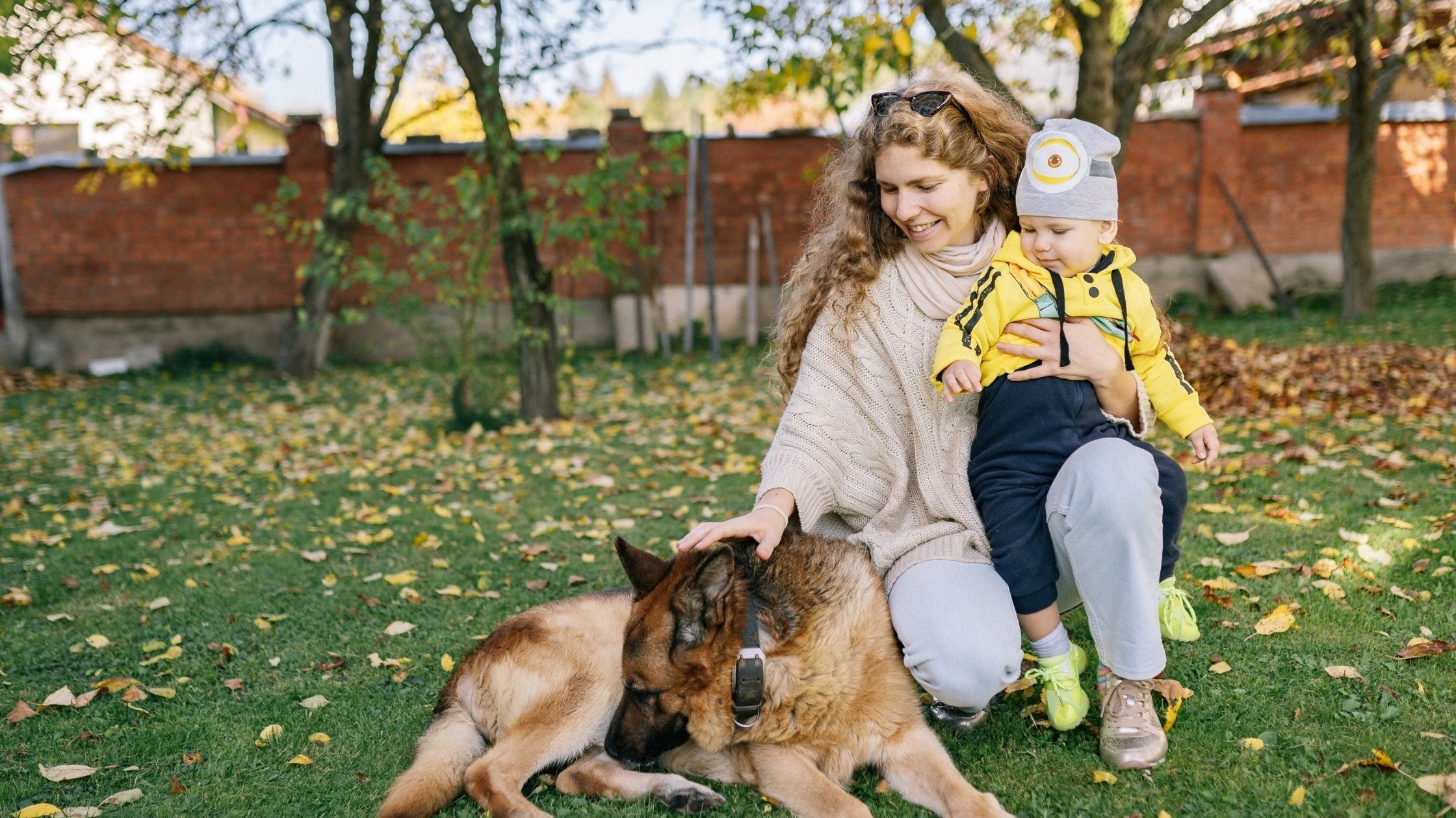 How to Introduce a Hyper Dog to a Baby