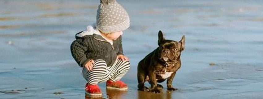 Puppy Love; Children and Dogs