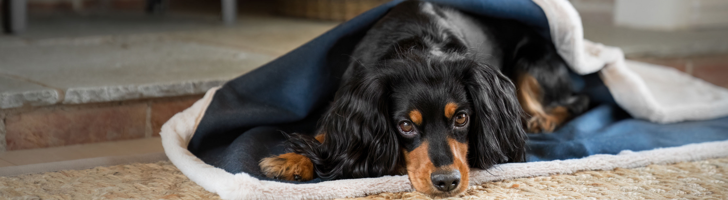 Lords & Labradors Essentials Twill Pet Bedding