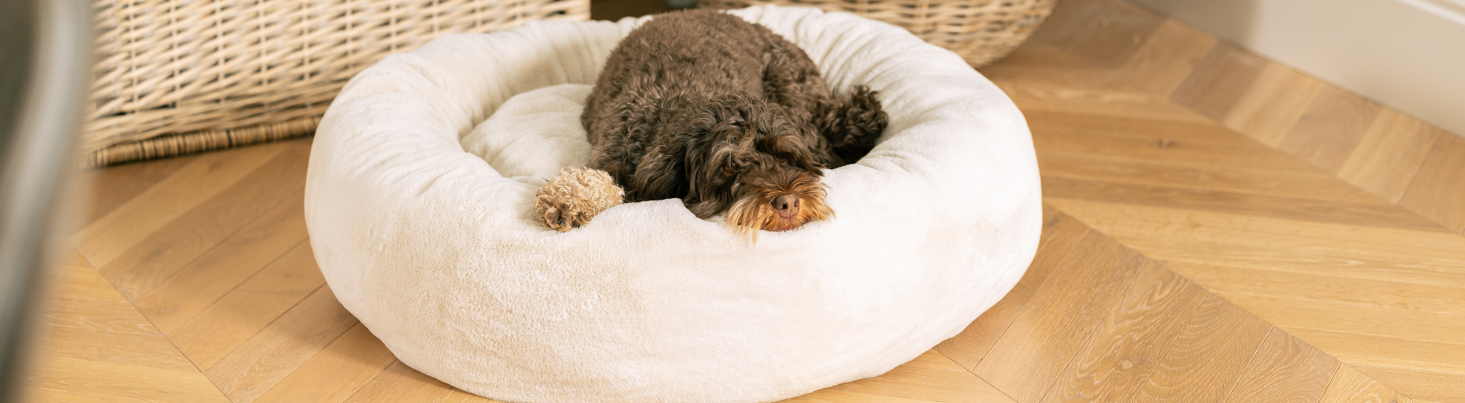 Luxury Dog Beds Unique, Modern Designer Dog Beds Lords & Labradors