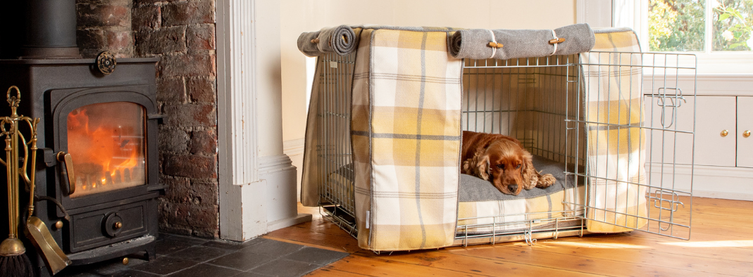 Ellie bo gold dog crate online