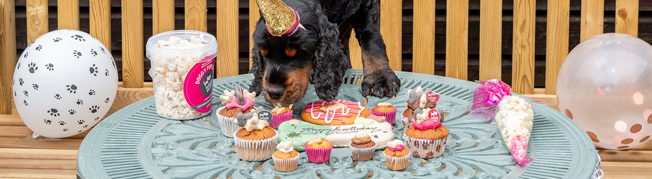 The Barking Bakery Dog Party Treats