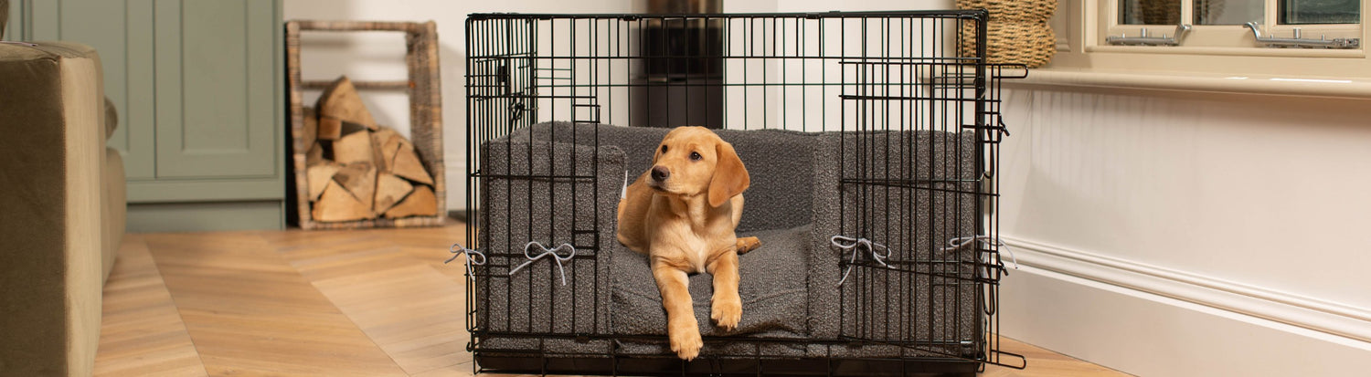 Dog Crate Bumpers & Padding