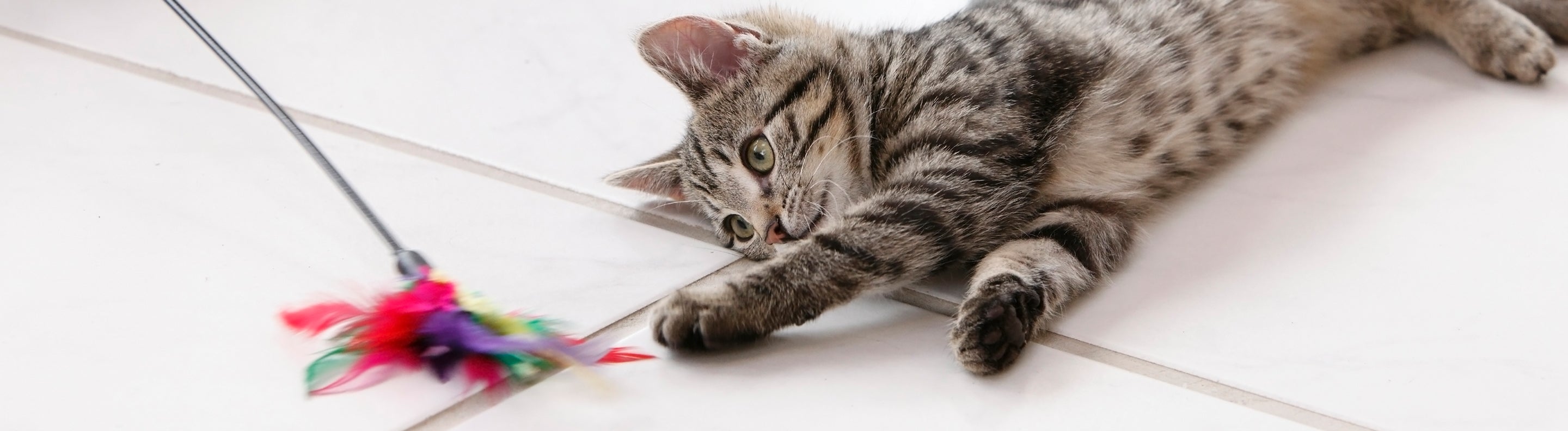 Interactive Cat Toys Stimulating Toys For Indoor Cats Kittens UK interactive-cat-toys-stimulating-toys-for-indoor-cats-kittens-uk