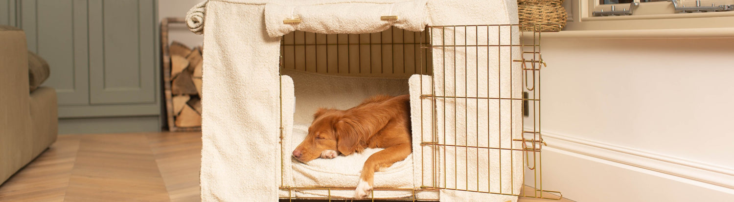 Dog Crate Bedding