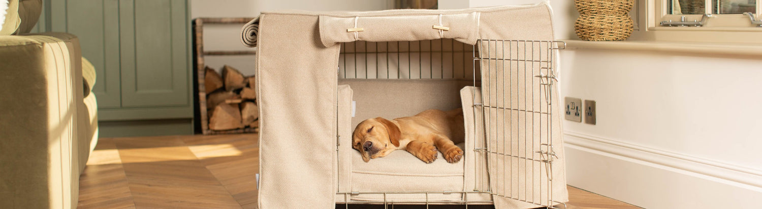 Luxury Dog Crate Sets