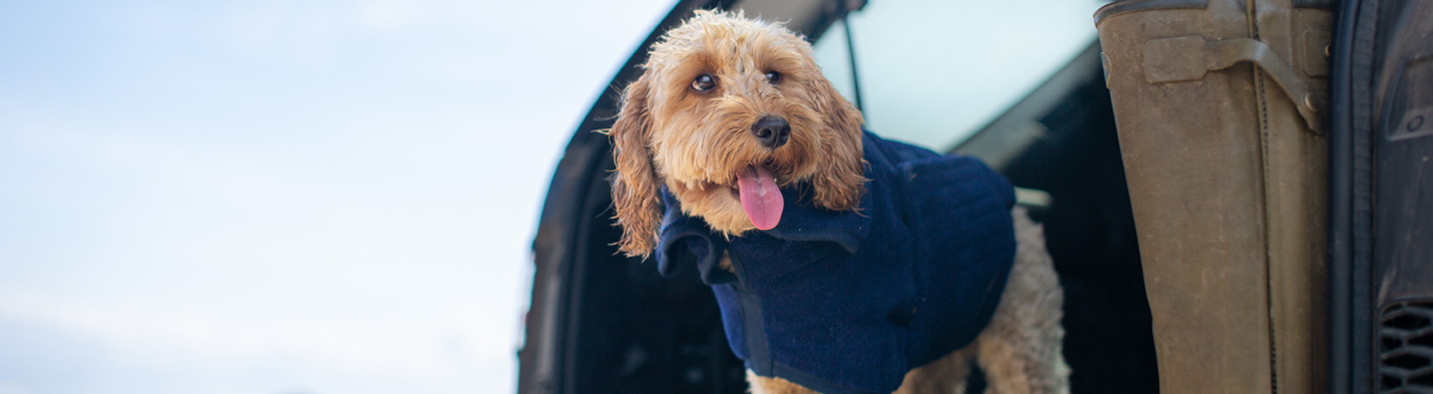 Designer Dog Coats Tweed & Waterproof Coats for Dogs Lords & Labradors