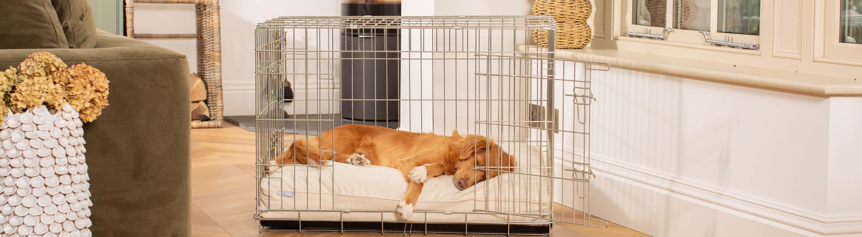 Illustration of Indoor Dog Crate Collection