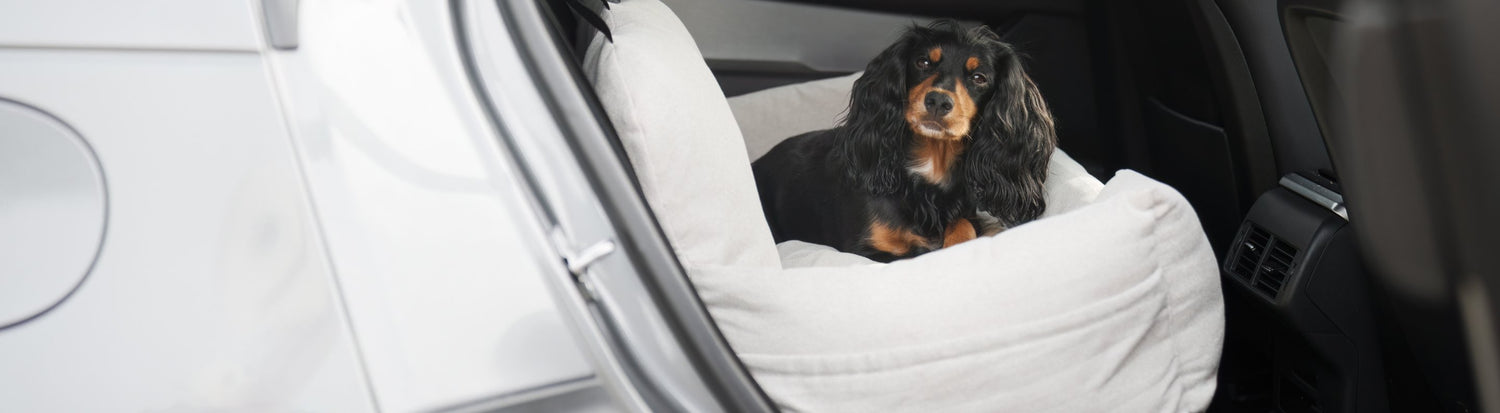Dog Travel Beds & Car Blankets