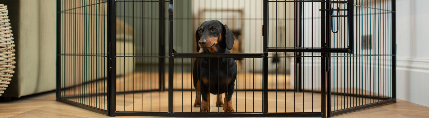 Dog Playpens and Puppy Gates