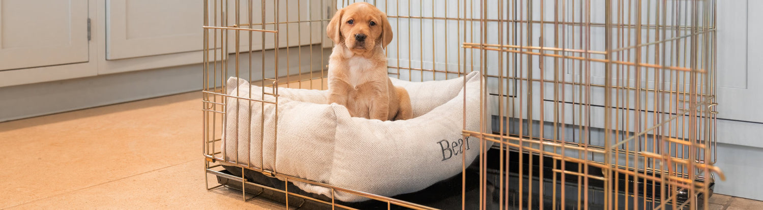 Personalised Puppy Beds