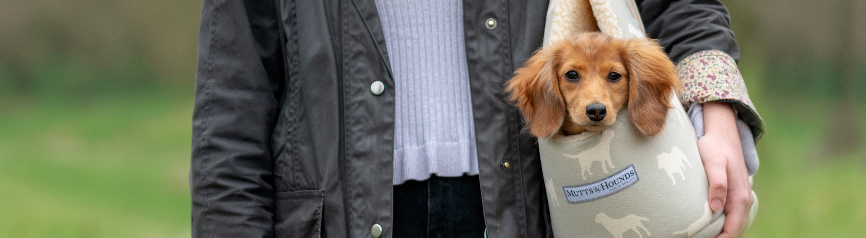 Travel Beds For Dogs Car Blankets For Dogs UK Lords & Labradors