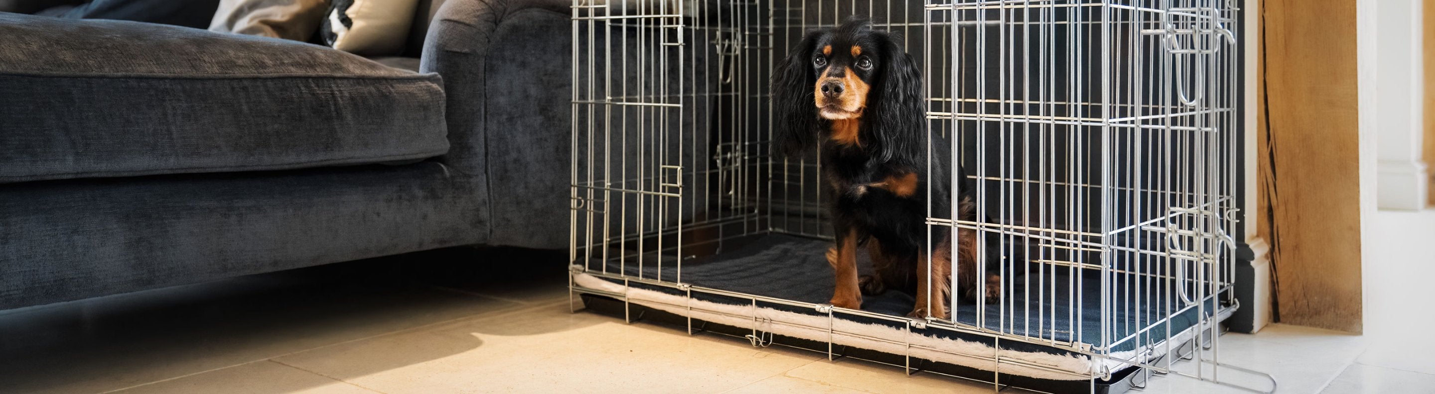 Beautiful view of Antimicrobial Dog Crate Mattress Liners