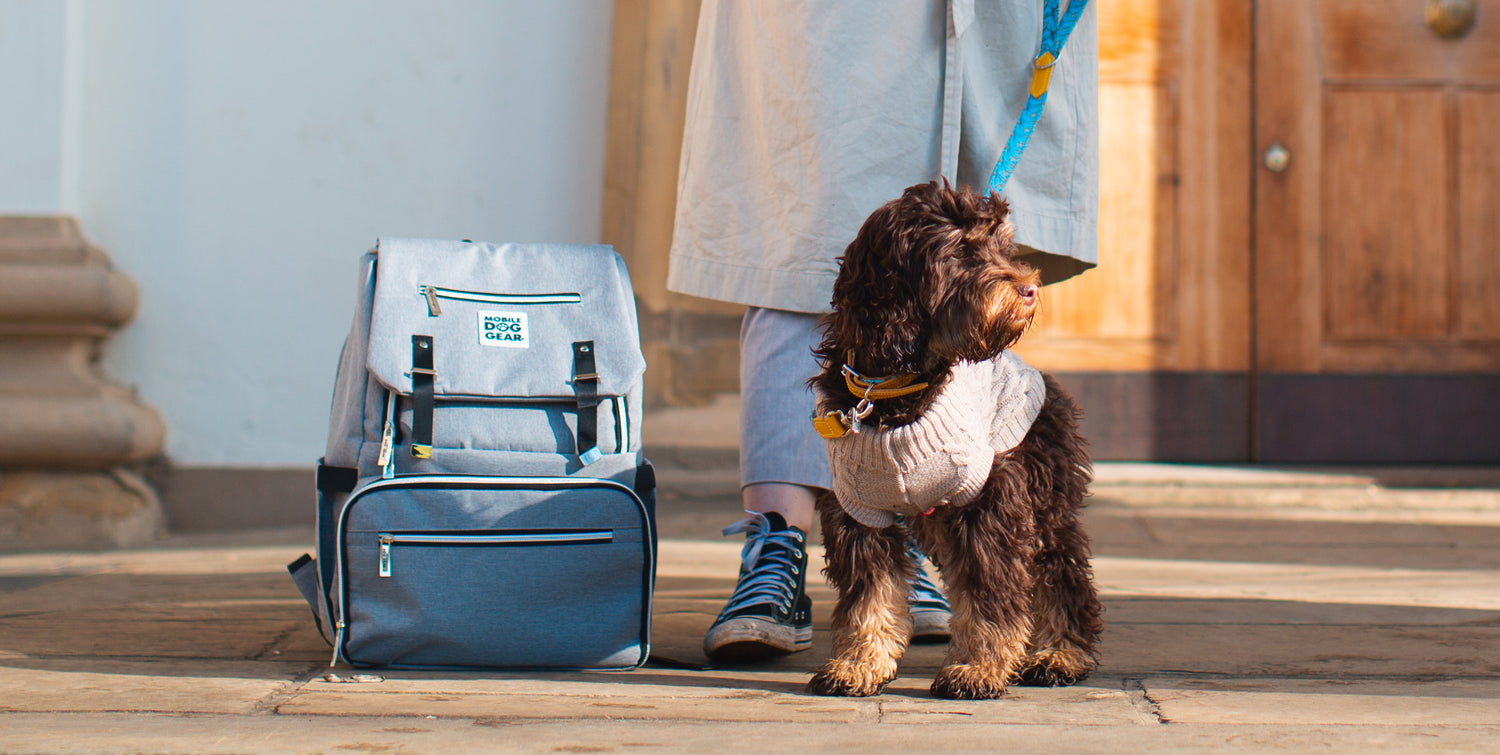Travelling Accessories and Collapsible Water Bowls For Dogs