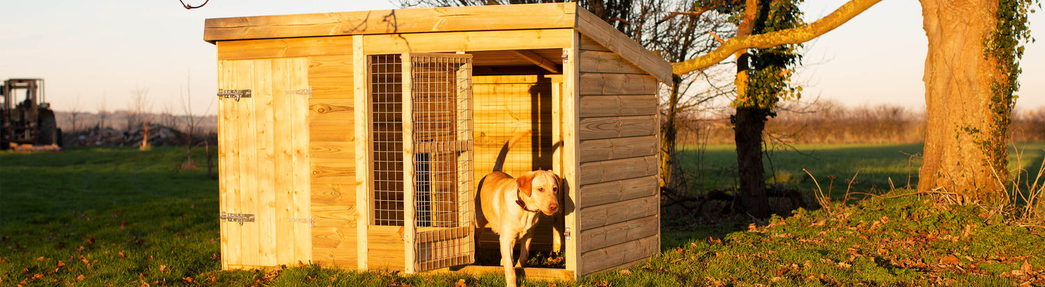 Wooden Crates and Kennels For Dogs