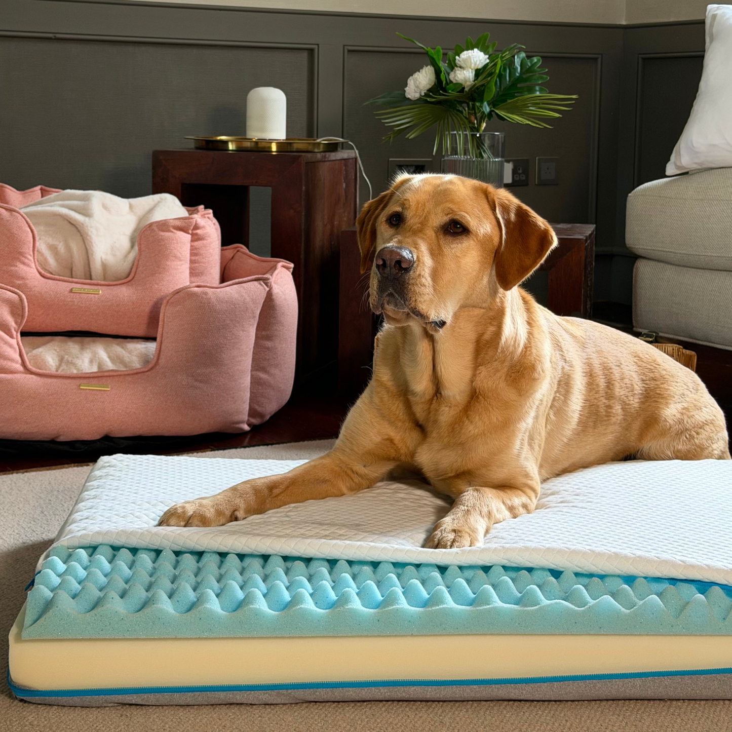 Slumba Orthopaedic Dog Mattress by Lords & Labradors