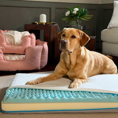Slumba Orthopaedic Dog Mattress by Lords & Labradors