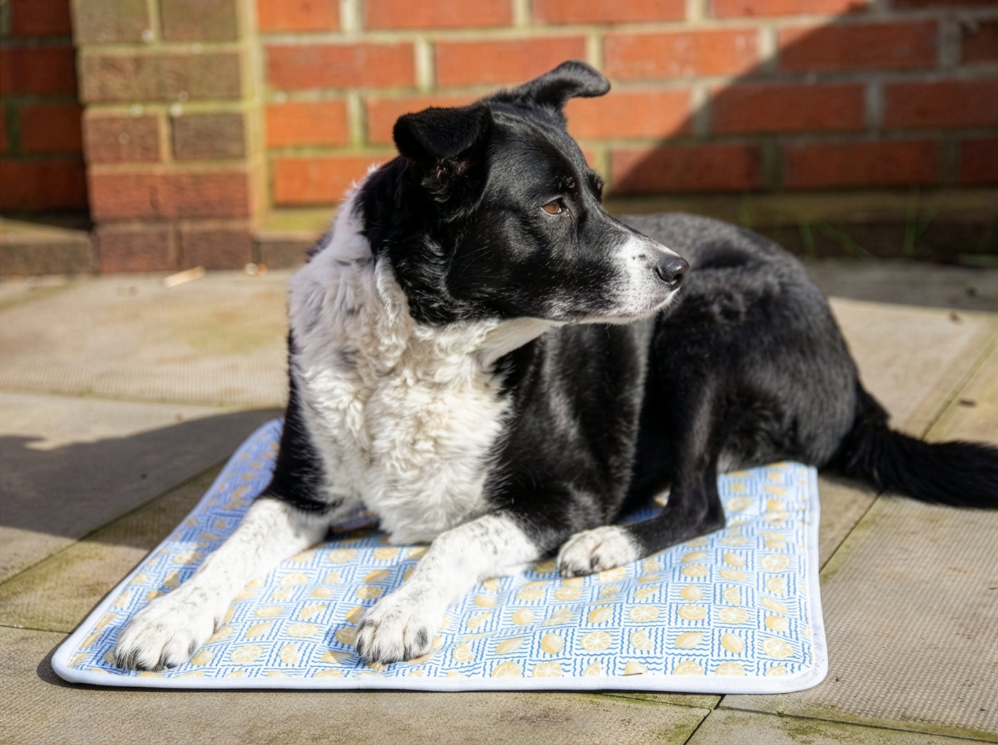 Rosewood Premium Cool Mat and Cover