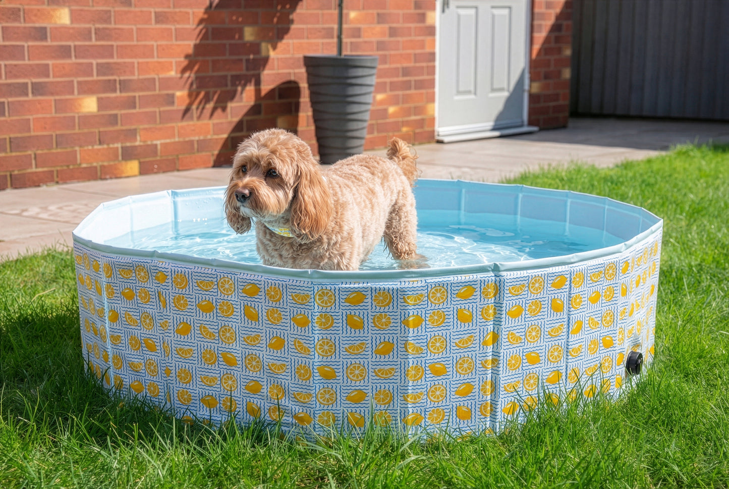 Lemons Paddling Pool for Dogs