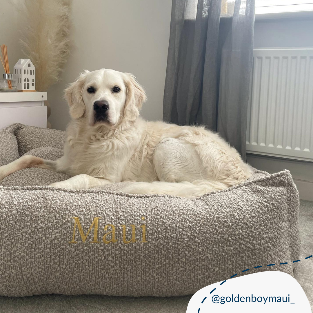 Luxury Handmade Box Bed For Dogs in Mink Boucle, Perfect For Your Pets Nap Time! Available To Personalise at Lords & Labradors