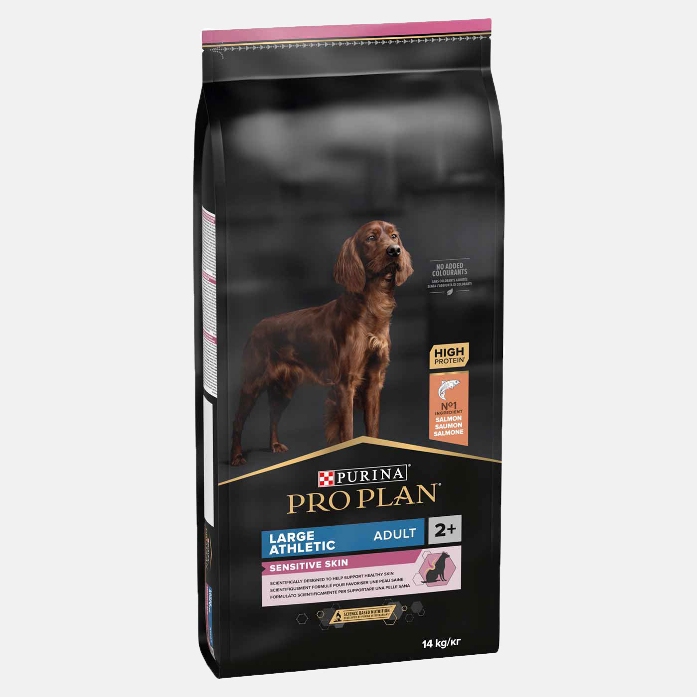 Dog Food & Accessories
