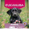Eukanuba Puppy Large Breed Chicken