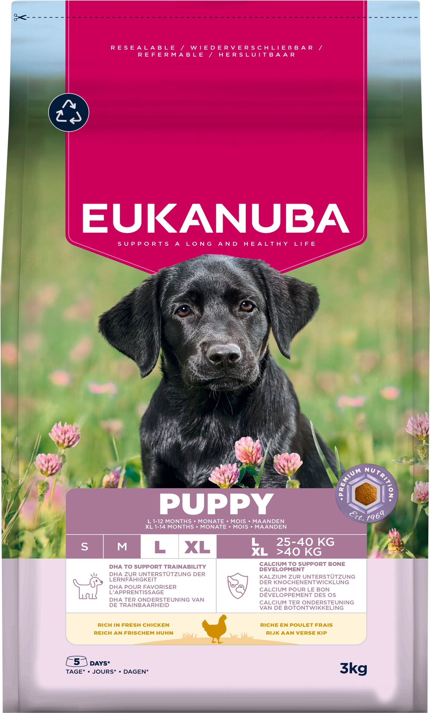 Eukanuba Puppy Large Breed Chicken