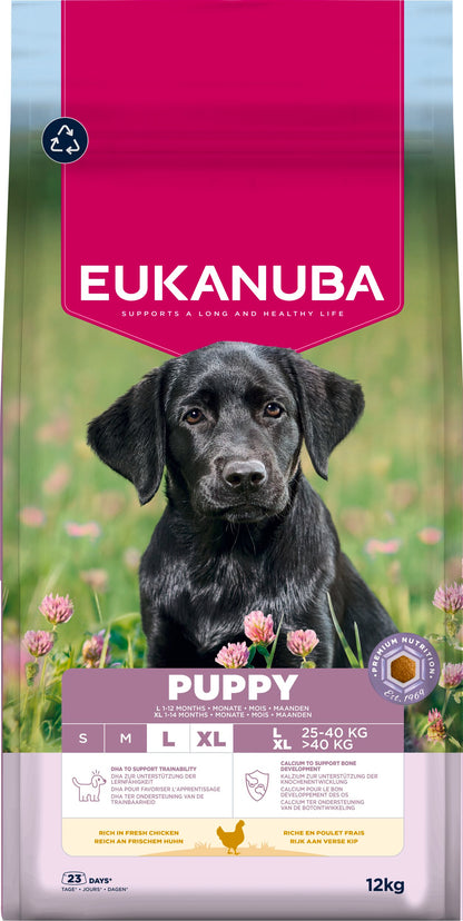 Eukanuba Puppy Large Breed Chicken