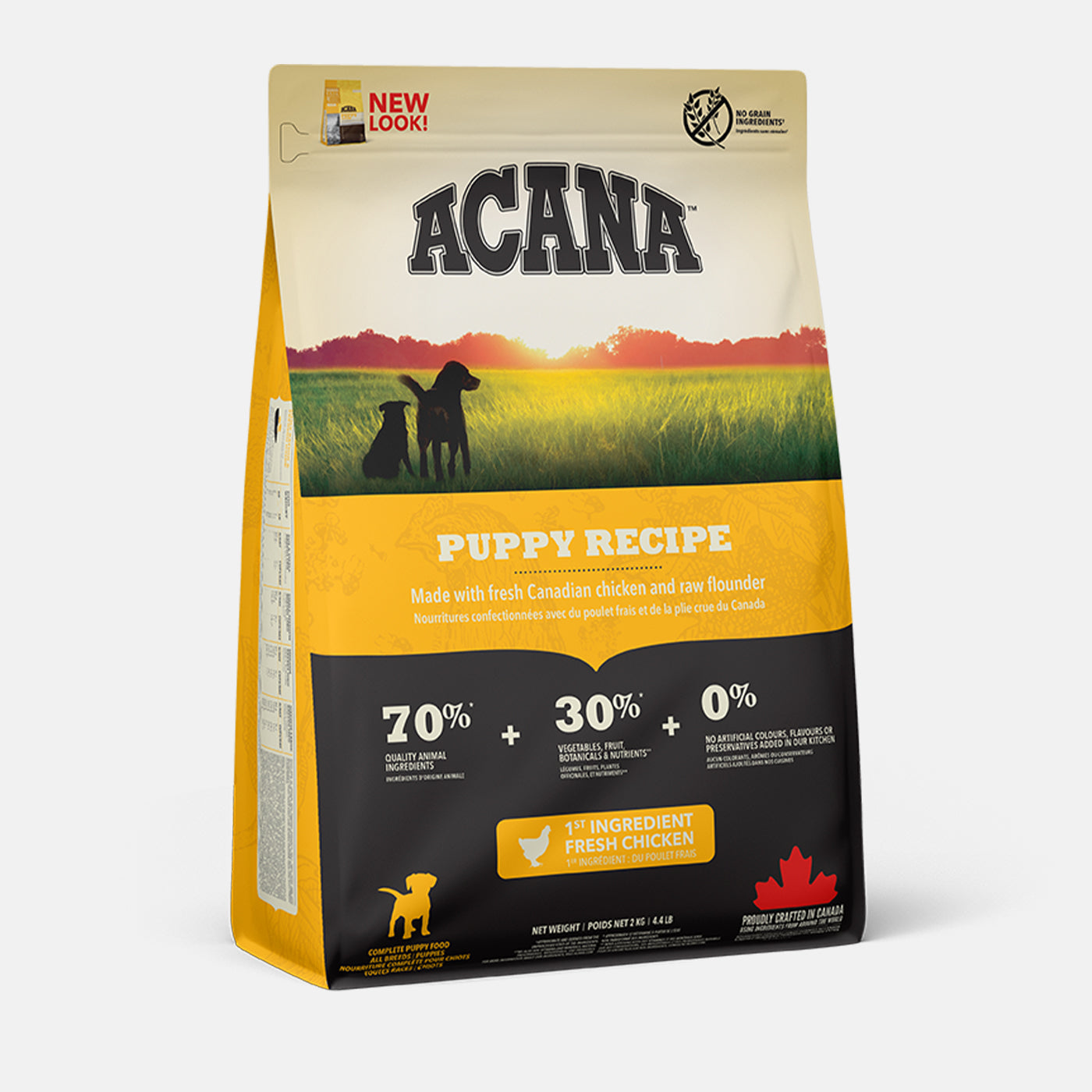 Dog Food & Accessories