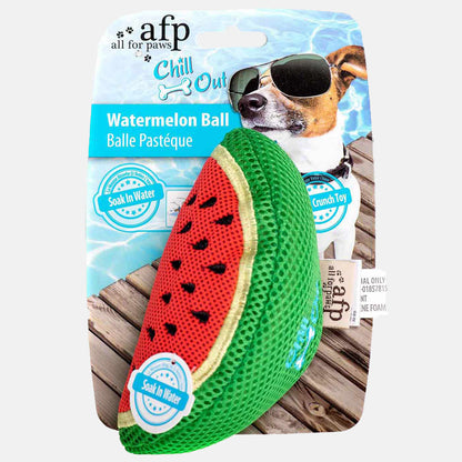 All For Paws Chill Out Watermelon Slice
