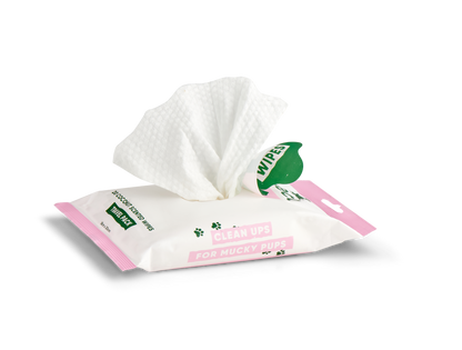 Beco Dog Travel Wipes Coconut Scented 20 Pack