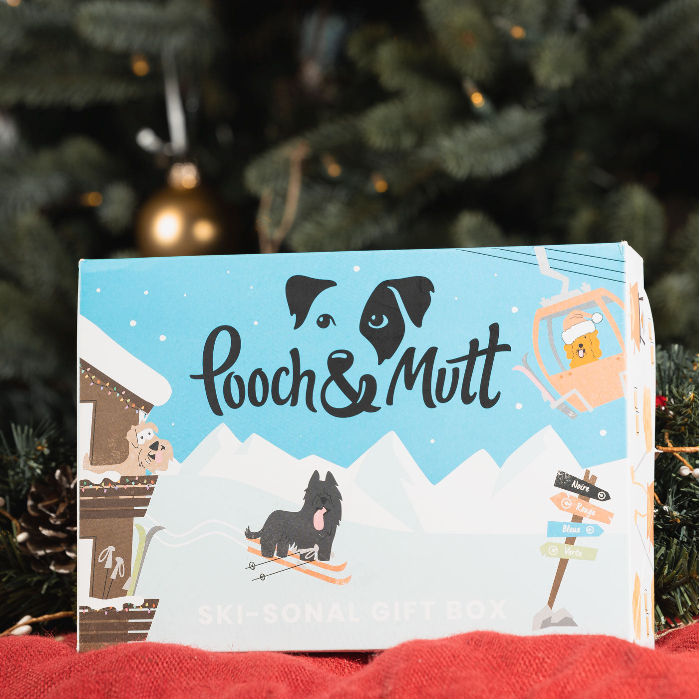 Pooch & Mutt Skisonal Christmas Gift Box For Dogs, Available Now at Lords & Labradors