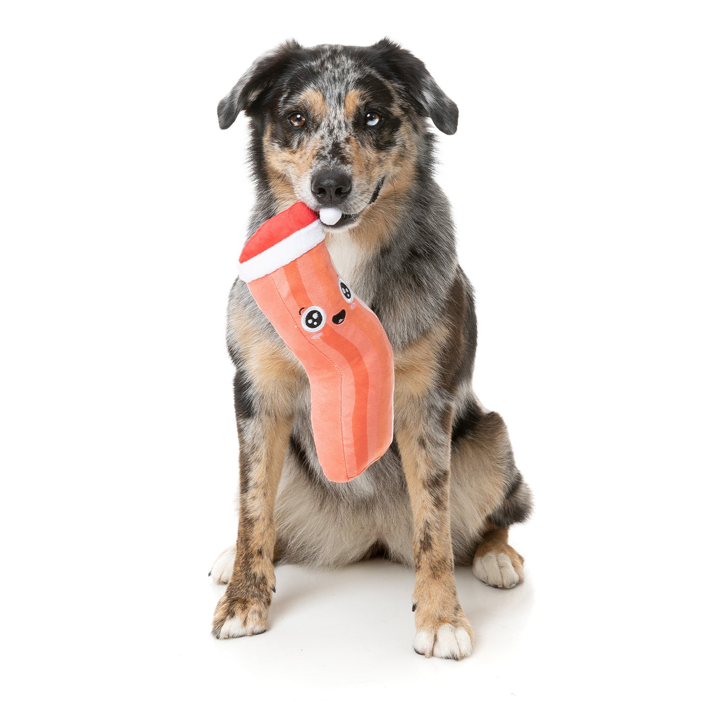 Bacon-ing To Look A Lot Like Xmas Dog Toy