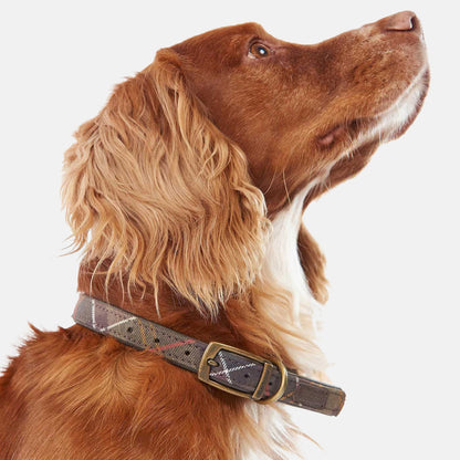 Barbour Tartan Dog Collar