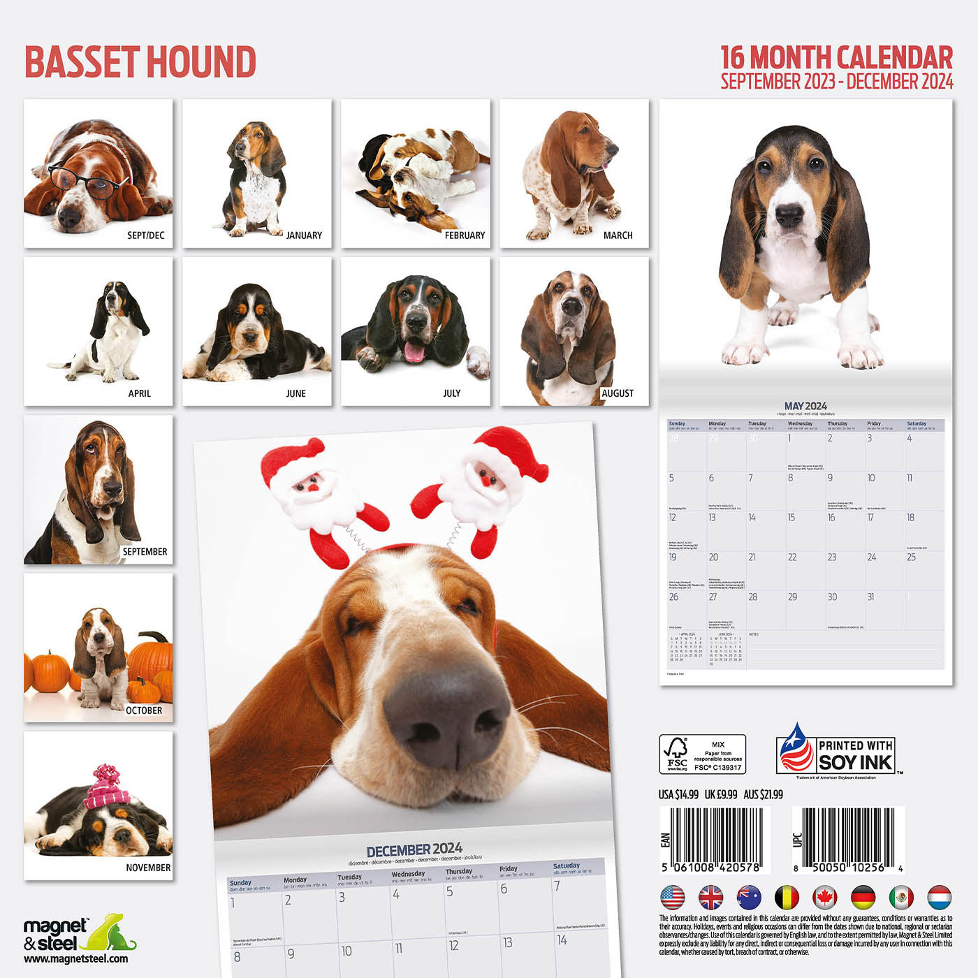 Basset Hound Modern Calendar 2024