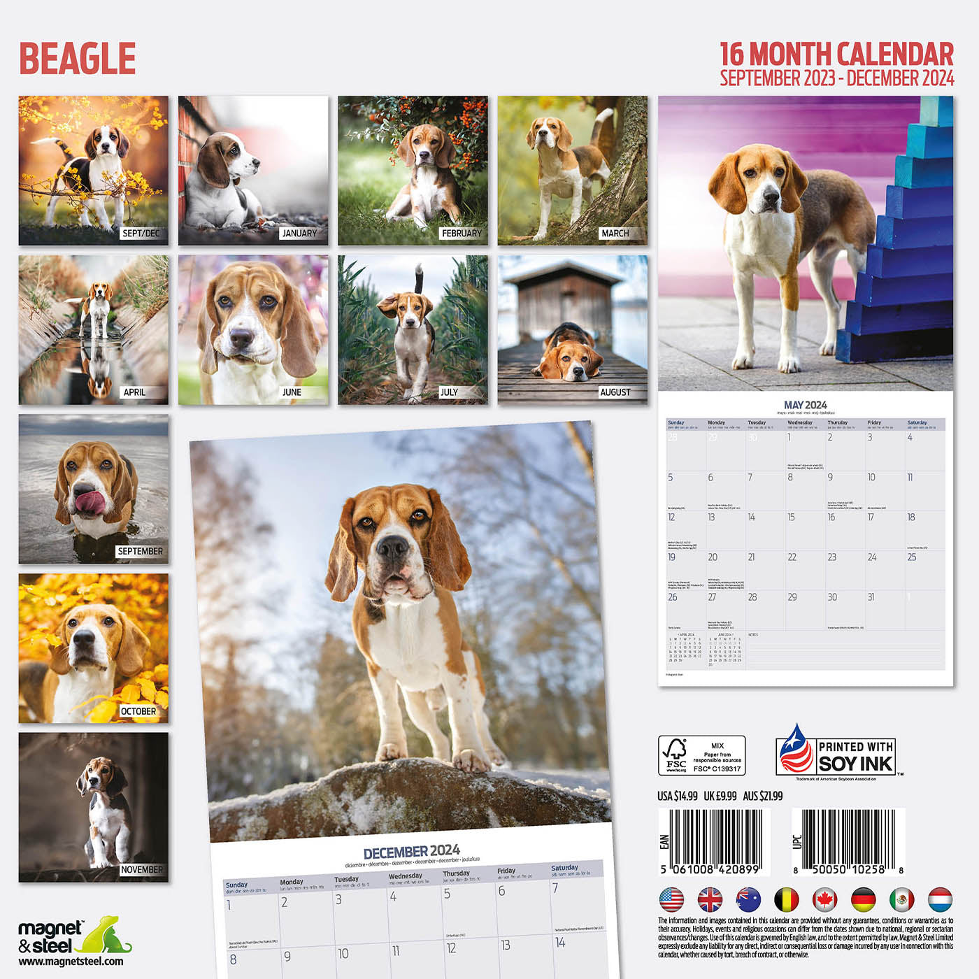 Beagle Traditional Calendar 2024