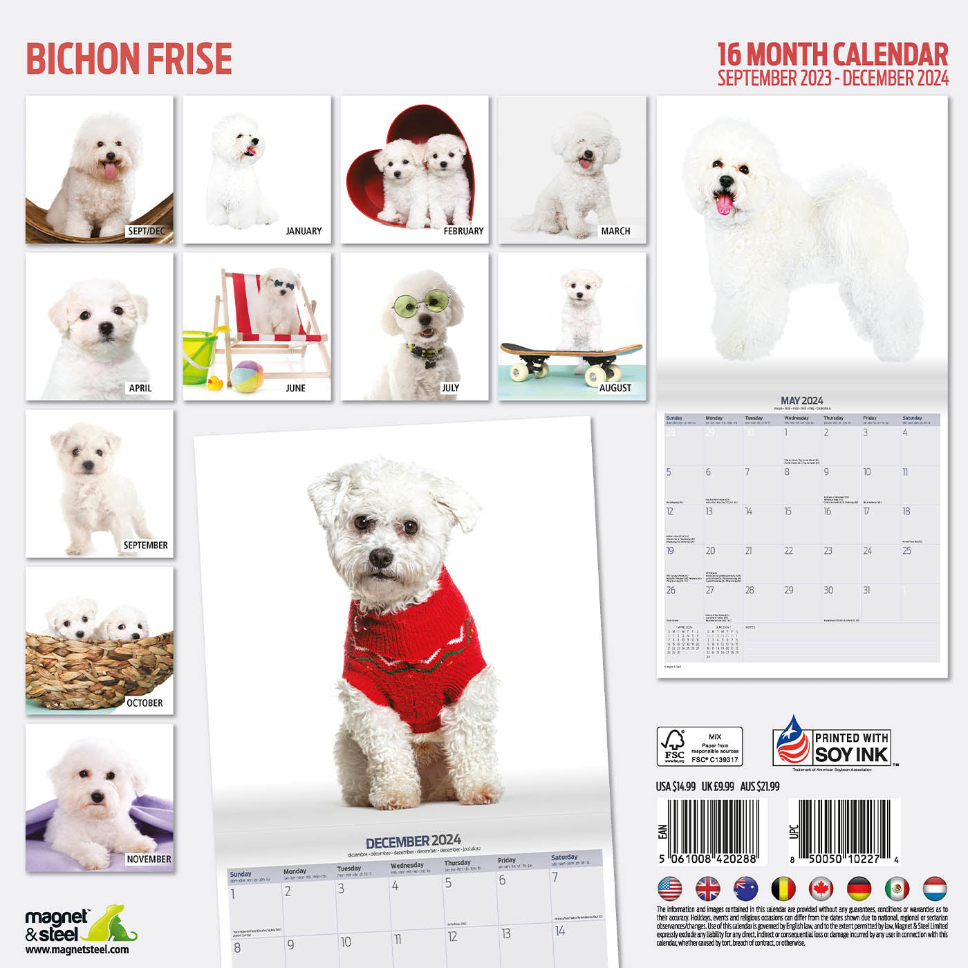 Bichon Frise Modern Calendar 2024